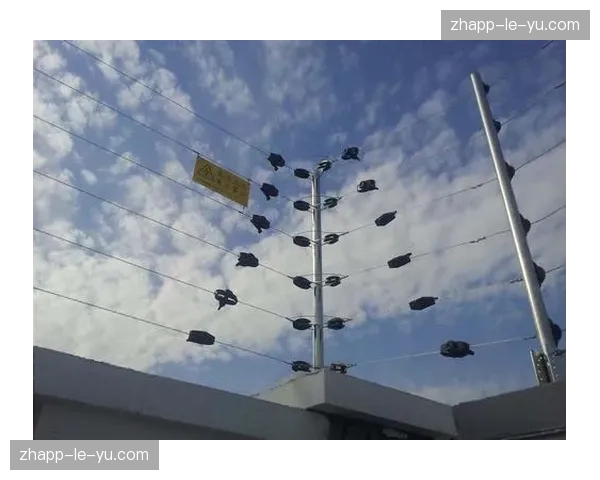 柔性显示围栏信号同步 正在统一赛场视觉传达逻辑